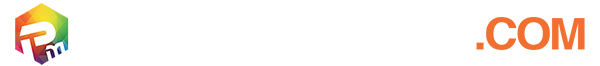 PrinzMultimedia logo